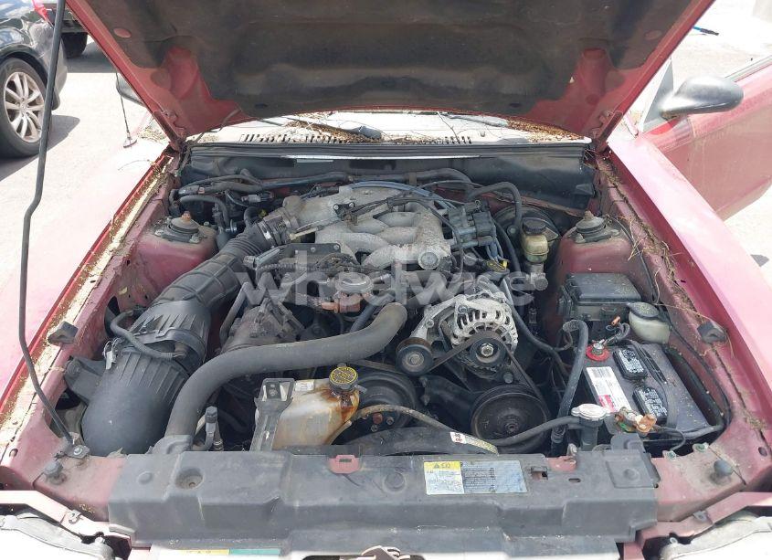 Photo 10 of 2003 Ford Mustang (VIN 1FAFP44443F327129)