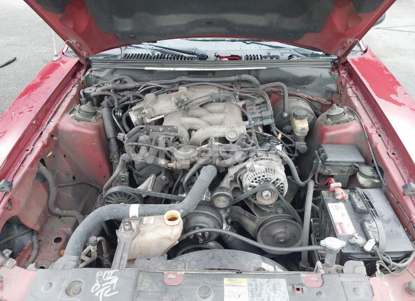 Photo 10 of 2003 Ford Mustang (VIN 1FAFP44443F403447)