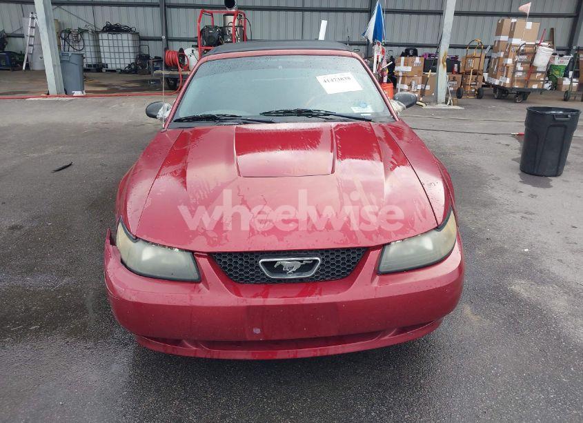 Photo 6 of 2003 Ford Mustang (VIN 1FAFP44443F403447)