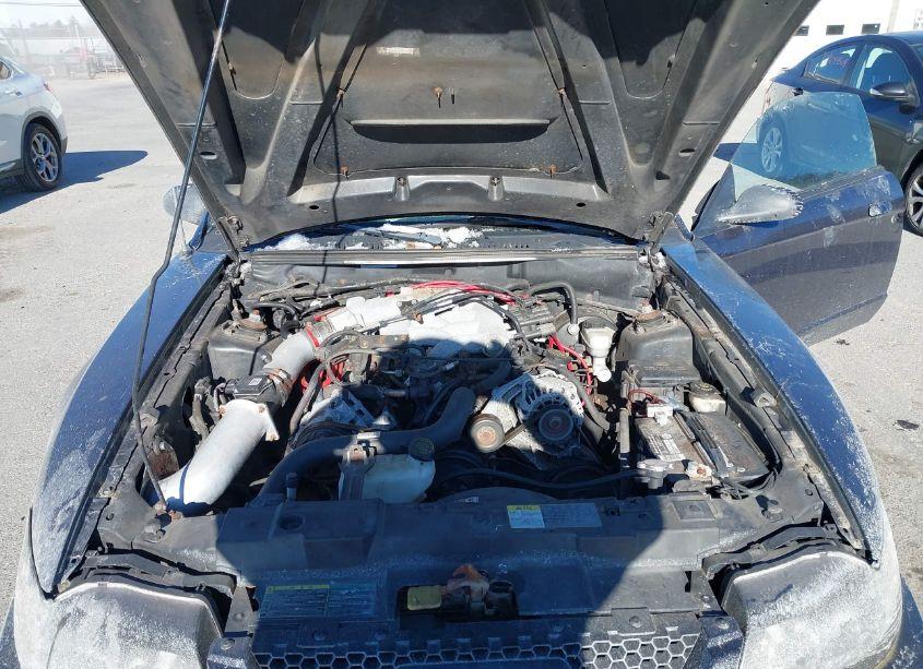 Photo 10 of 2003 Ford Mustang (VIN 1FAFP44443F440708)