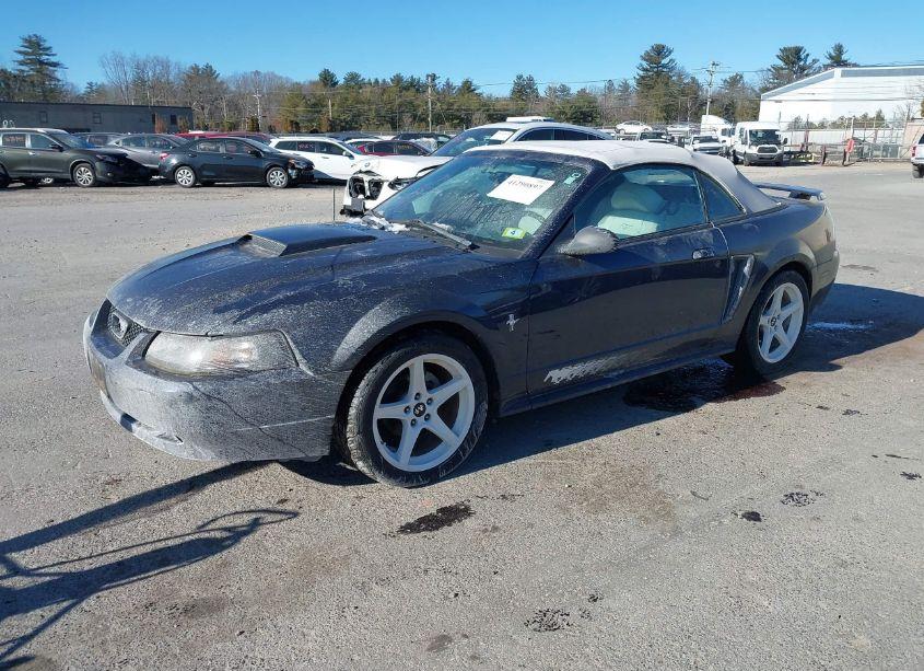 Photo 2 of 2003 Ford Mustang (VIN 1FAFP44443F440708)