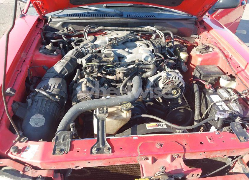 Photo 10 of 2000 Ford Mustang (VIN 1FAFP4444YF198834)