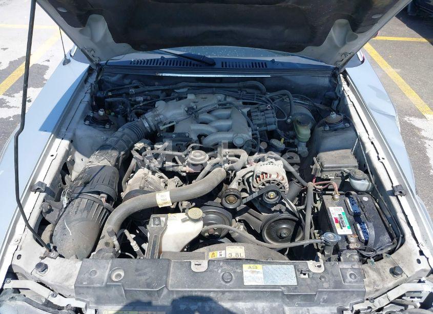 Photo 10 of 2001 Ford Mustang (VIN 1FAFP44451F208230)