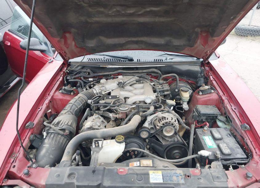 Photo 10 of 2003 Ford Mustang (VIN 1FAFP44453F377120)