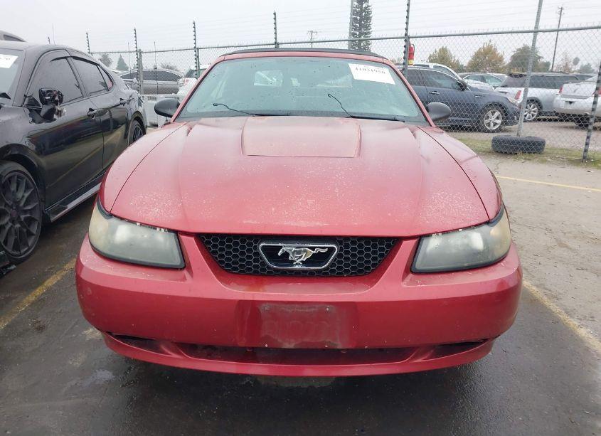 Photo 13 of 2003 Ford Mustang (VIN 1FAFP44453F377120)