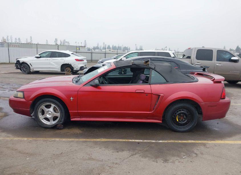 Photo 15 of 2003 Ford Mustang (VIN 1FAFP44453F377120)