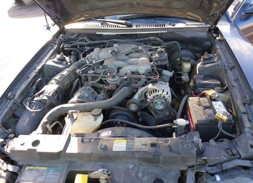 Photo 10 of 2003 Ford Mustang (VIN 1FAFP44453F419088)