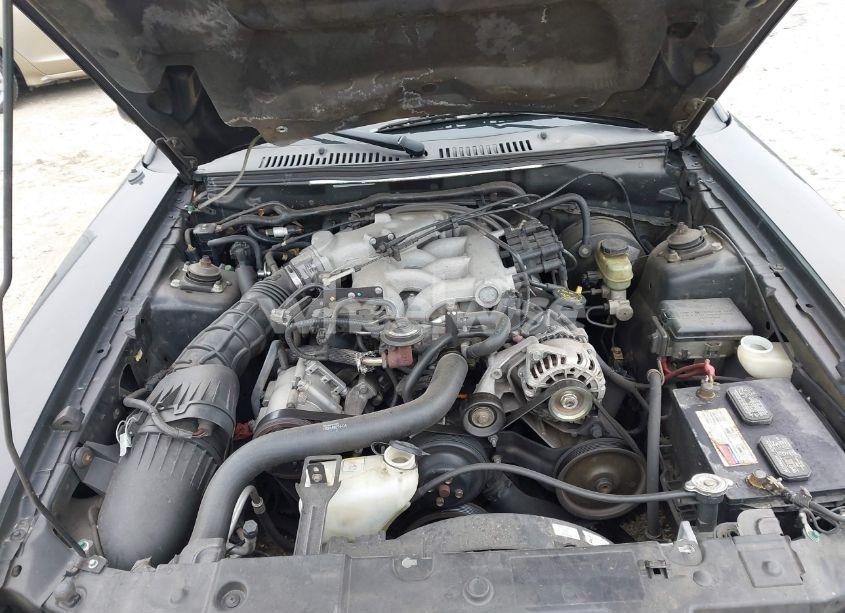 Photo 10 of 2004 Ford Mustang (VIN 1FAFP44454F110688)