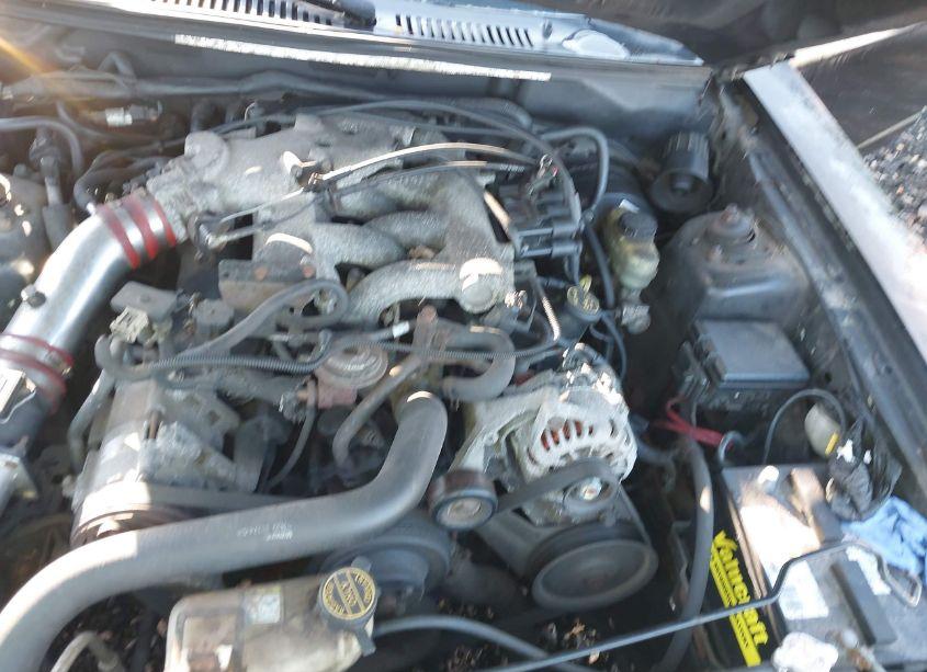 Photo 10 of 2001 Ford Mustang N/A (VIN 1FAFP44471F199885)