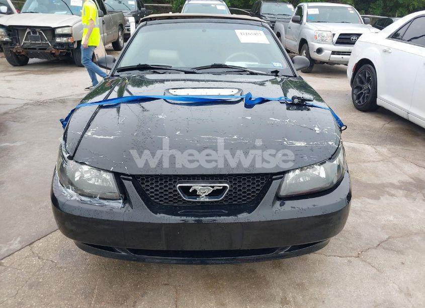 Photo 6 of 2002 Ford Mustang (VIN 1FAFP44472F143656)