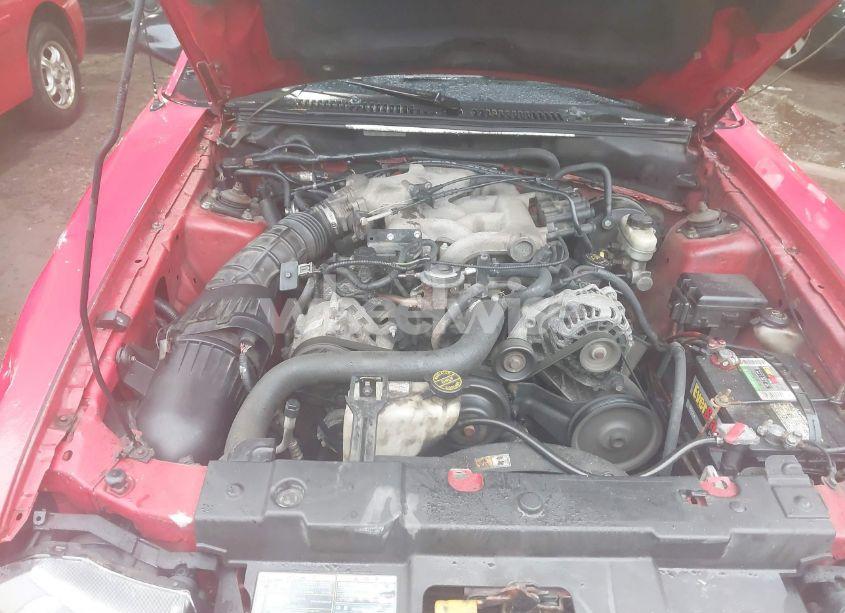 Photo 10 of 2002 Ford Mustang (VIN 1FAFP44472F166595)