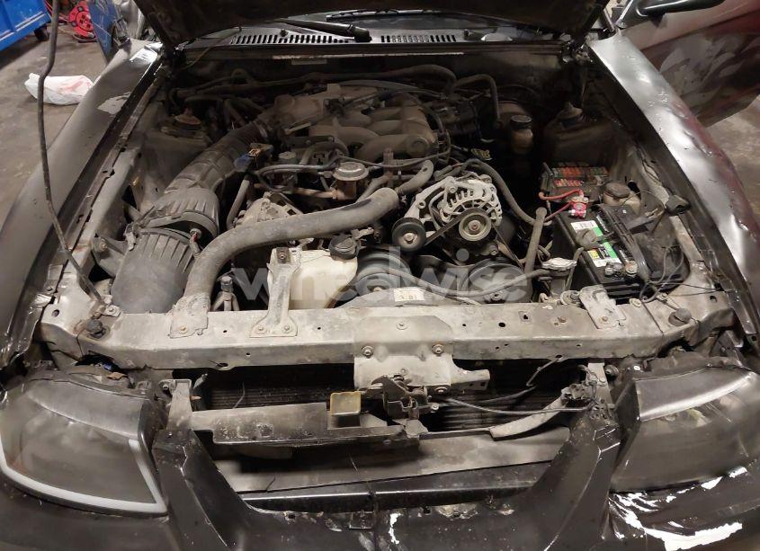 Photo 10 of 2001 Ford Mustang (VIN 1FAFP44481F211106)