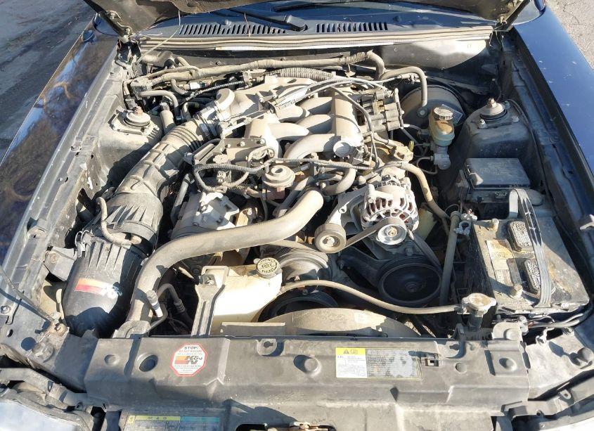 Photo 10 of 2003 Ford Mustang (VIN 1FAFP44483F421742)