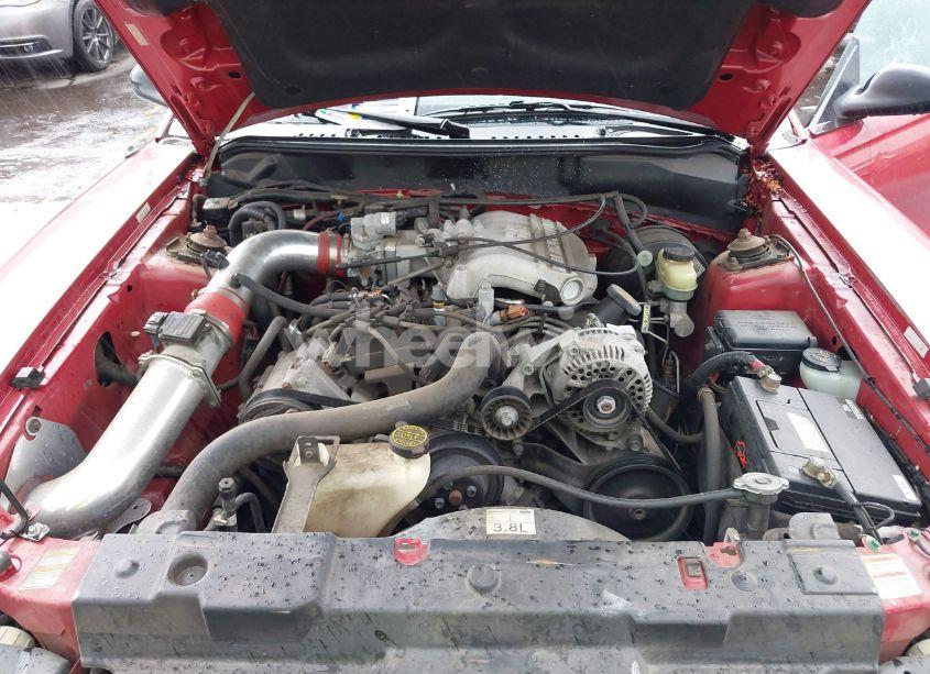 Photo 10 of 1998 Ford Mustang (VIN 1FAFP4448WF232559)