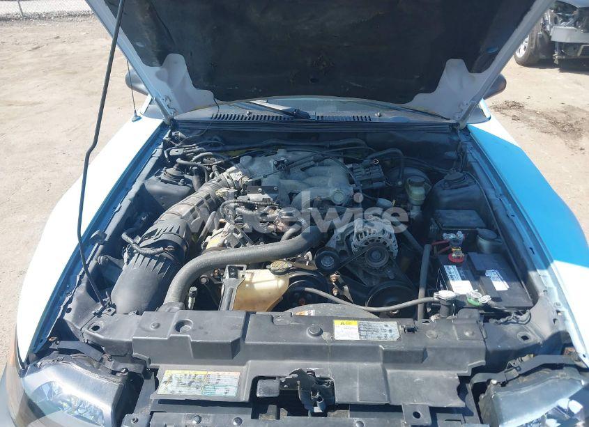 Photo 10 of 2001 Ford Mustang (VIN 1FAFP44491F178827)