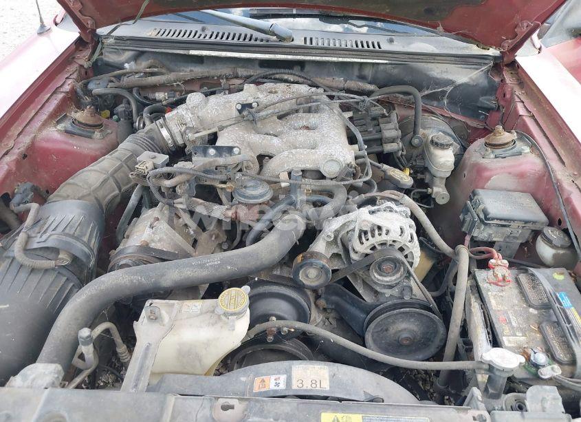 Photo 10 of 2001 Ford Mustang (VIN 1FAFP44491F185244)