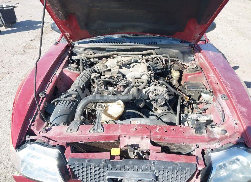 Photo 10 of 2001 Ford Mustang (VIN 1FAFP44491F242798)