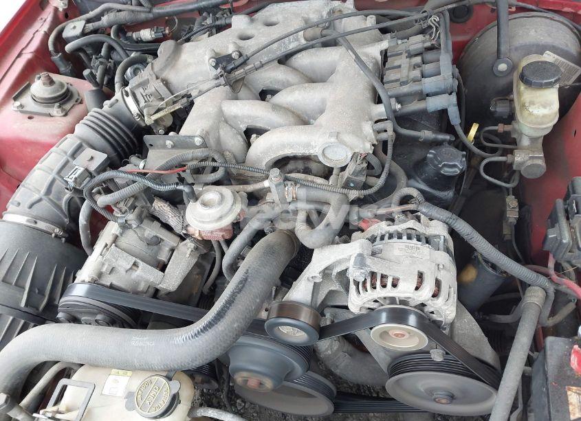 Photo 10 of 2002 Ford Mustang (VIN 1FAFP444X2F194469)