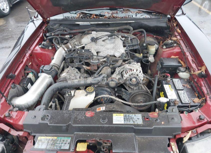 Photo 10 of 2003 Ford Mustang (VIN 1FAFP444X3F324607)