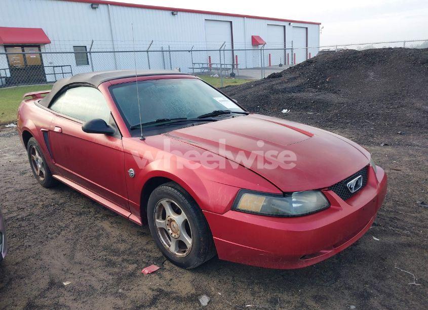 Photo 12 of 2004 Ford Mustang (VIN 1FAFP44604F212319)