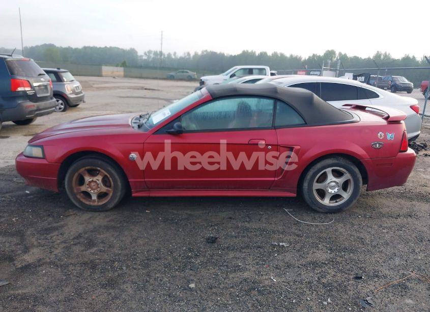 Photo 13 of 2004 Ford Mustang (VIN 1FAFP44604F212319)