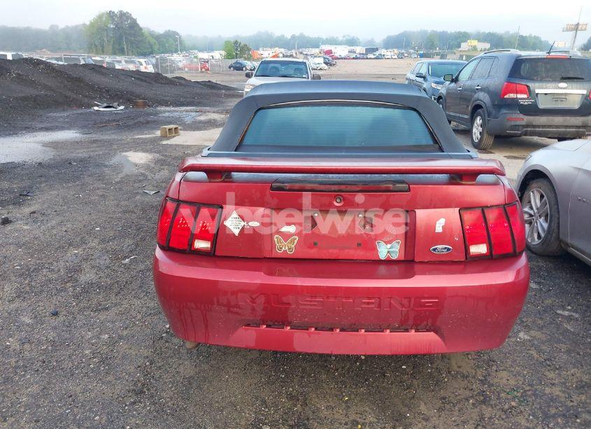 Photo 14 of 2004 Ford Mustang (VIN 1FAFP44604F212319)