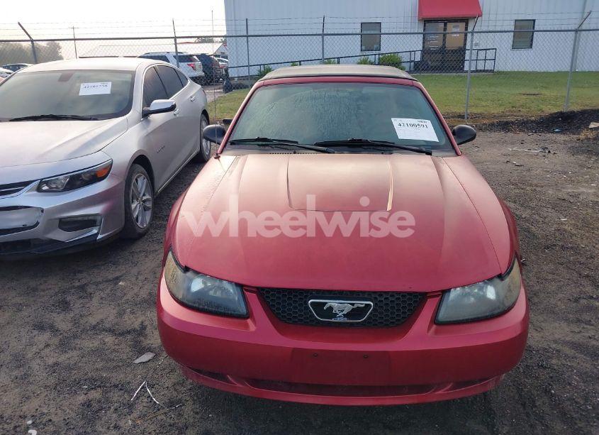 Photo 16 of 2004 Ford Mustang (VIN 1FAFP44604F212319)