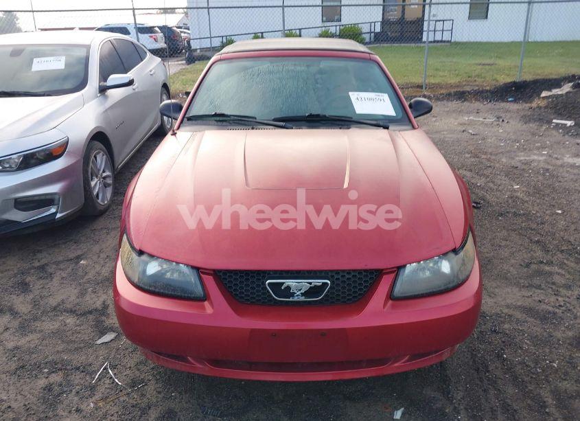 Photo 6 of 2004 Ford Mustang (VIN 1FAFP44604F212319)