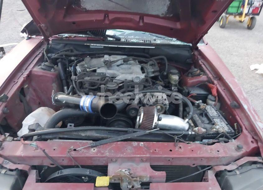 Photo 10 of 2004 Ford Mustang (VIN 1FAFP44614F233955)