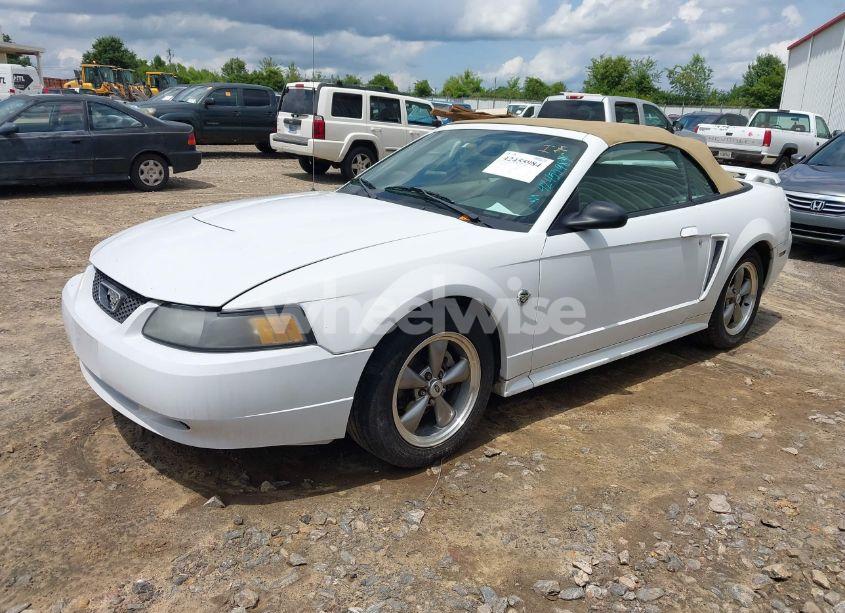 Photo 2 of 2004 Ford Mustang (VIN 1FAFP44644F193077)