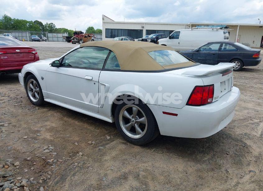 Photo 3 of 2004 Ford Mustang (VIN 1FAFP44644F193077)