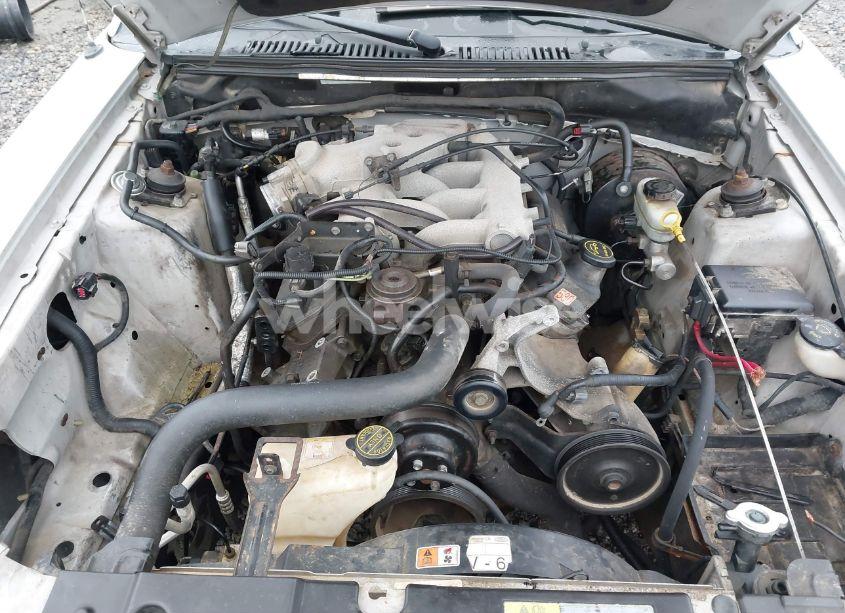 Photo 10 of 2004 Ford Mustang (VIN 1FAFP44674F196796)