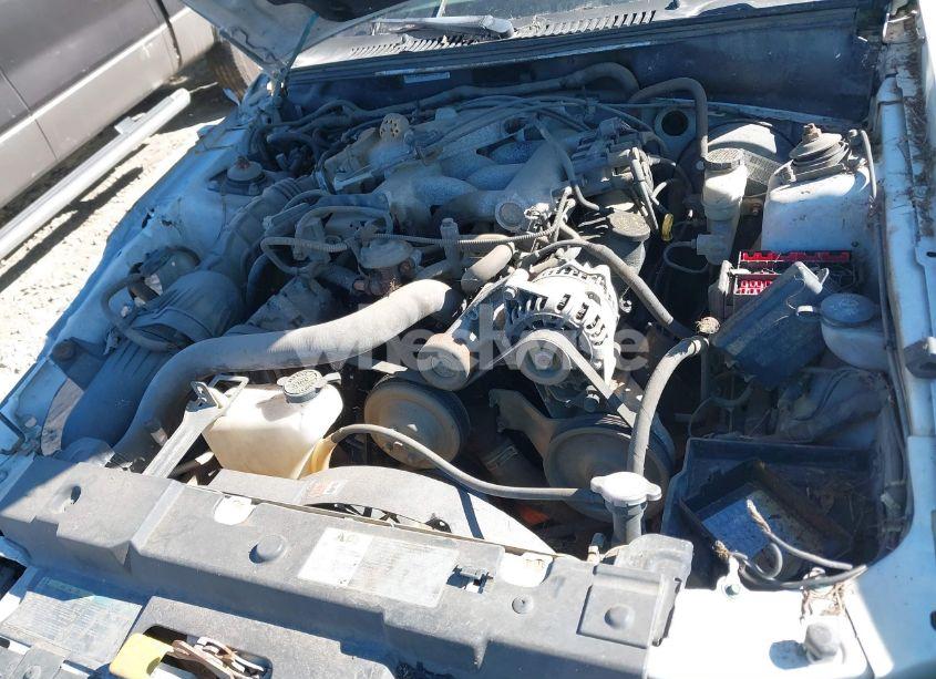 Photo 10 of 2004 Ford Mustang (VIN 1FAFP44684F182860)