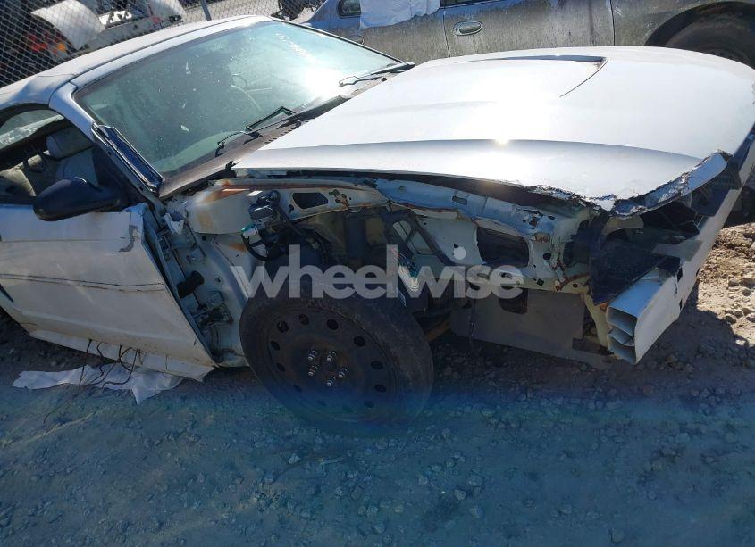 Photo 6 of 2004 Ford Mustang (VIN 1FAFP44684F182860)