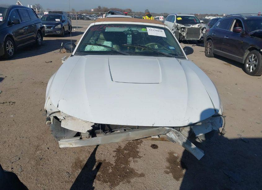 Photo 12 of 2004 Ford Mustang (VIN 1FAFP44684F201584)