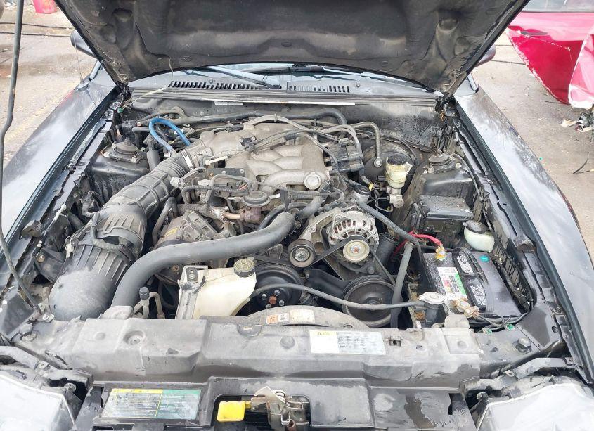 Photo 10 of 2004 Ford Mustang (VIN 1FAFP44694F192278)