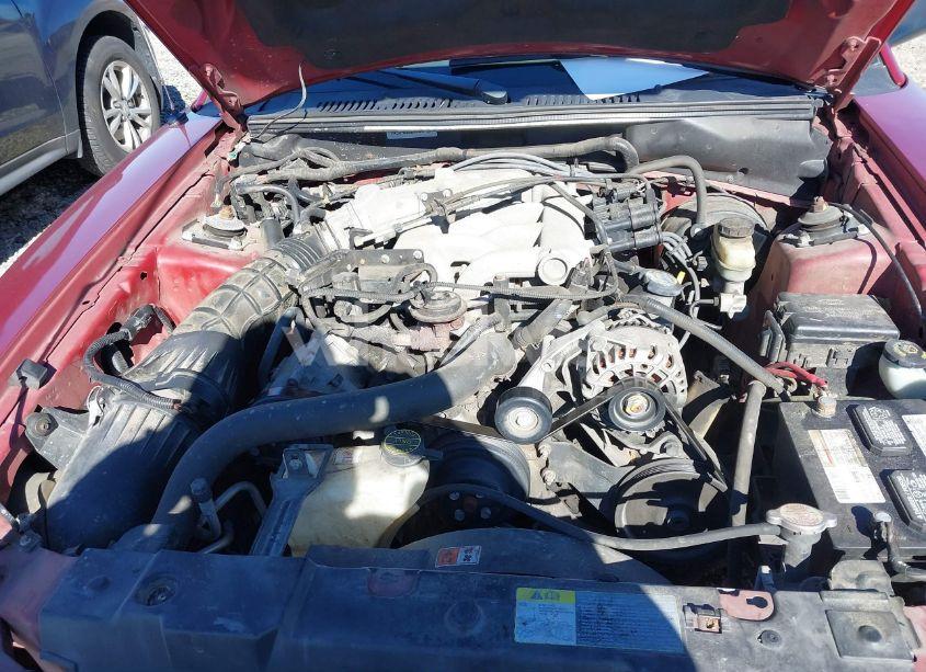 Photo 10 of 2004 Ford Mustang (VIN 1FAFP44694F219365)