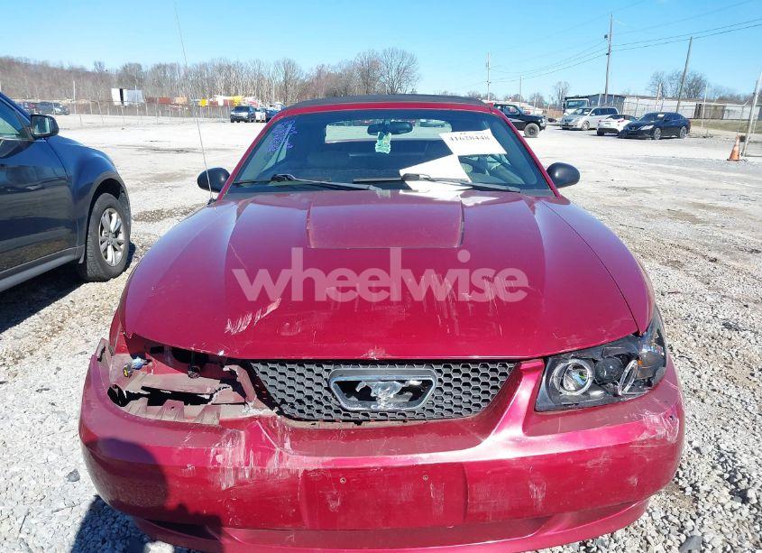 Photo 13 of 2004 Ford Mustang (VIN 1FAFP44694F219365)