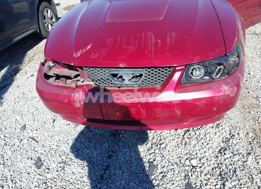 Photo 6 of 2004 Ford Mustang (VIN 1FAFP44694F219365)