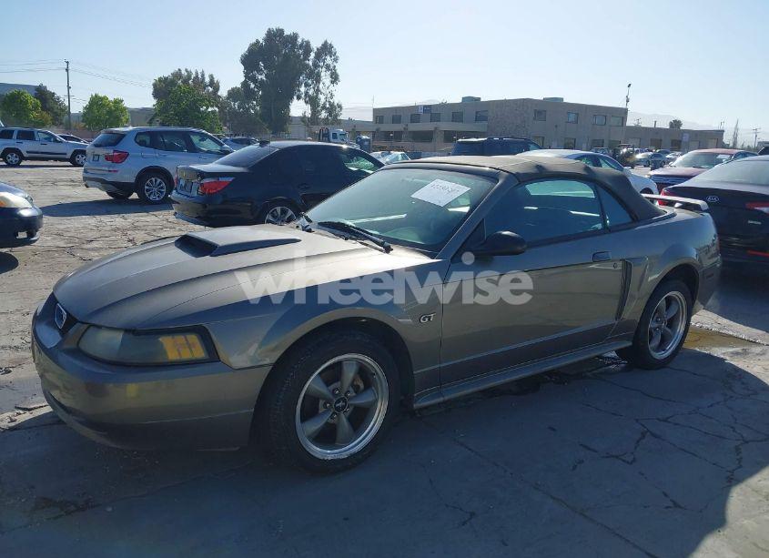 Photo 6 of 2001 Ford Mustang GT (VIN 1FAFP45X01F236462)