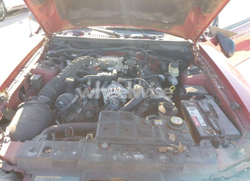 Photo 10 of 2003 Ford Mustang GT (VIN 1FAFP45X03F307520)