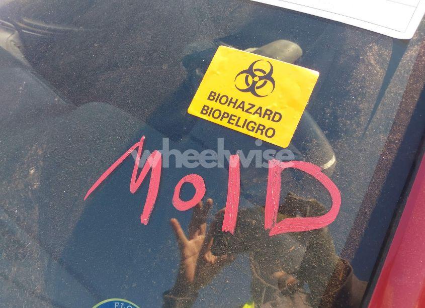 Photo 6 of 2003 Ford Mustang GT (VIN 1FAFP45X03F307520)