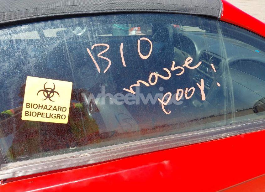 Photo 12 of 1999 Ford Mustang GT (VIN 1FAFP45X0XF172819)