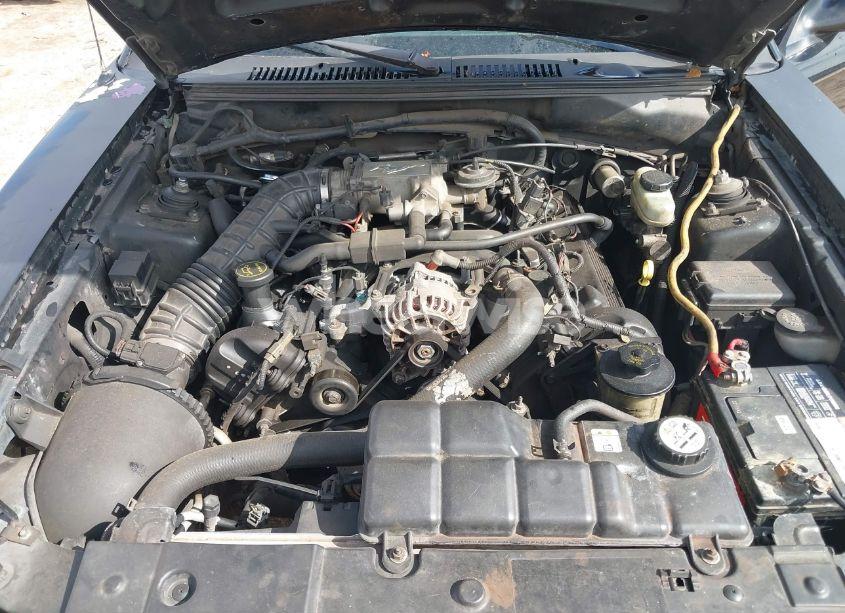 Photo 10 of 2002 Ford Mustang GT (VIN 1FAFP45X12F240635)