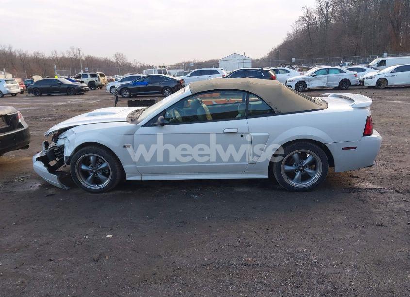 Photo 15 of 2003 Ford Mustang GT (VIN 1FAFP45X13F454025)