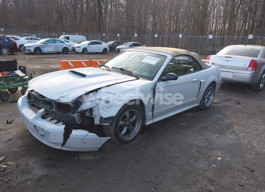 Photo 2 of 2003 Ford Mustang GT (VIN 1FAFP45X13F454025)