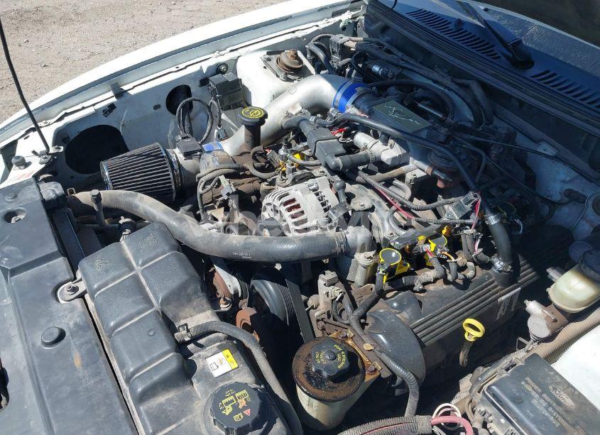 Photo 10 of 1999 Ford Mustang GT (VIN 1FAFP45X1XF215757)