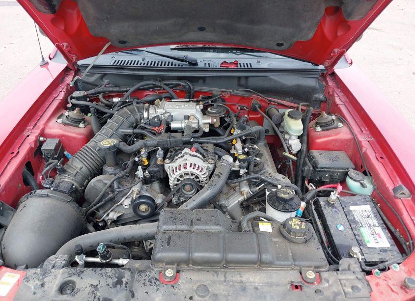 Photo 10 of 2000 Ford Mustang GT (VIN 1FAFP45X1YF283008)