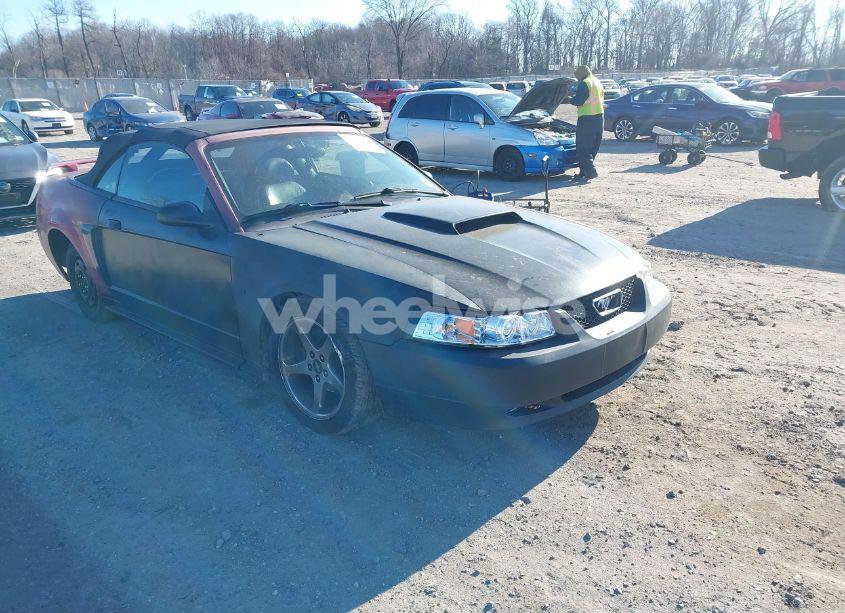 2002 Ford Mustang GT (VIN 1FAFP45X22F159563) main photo