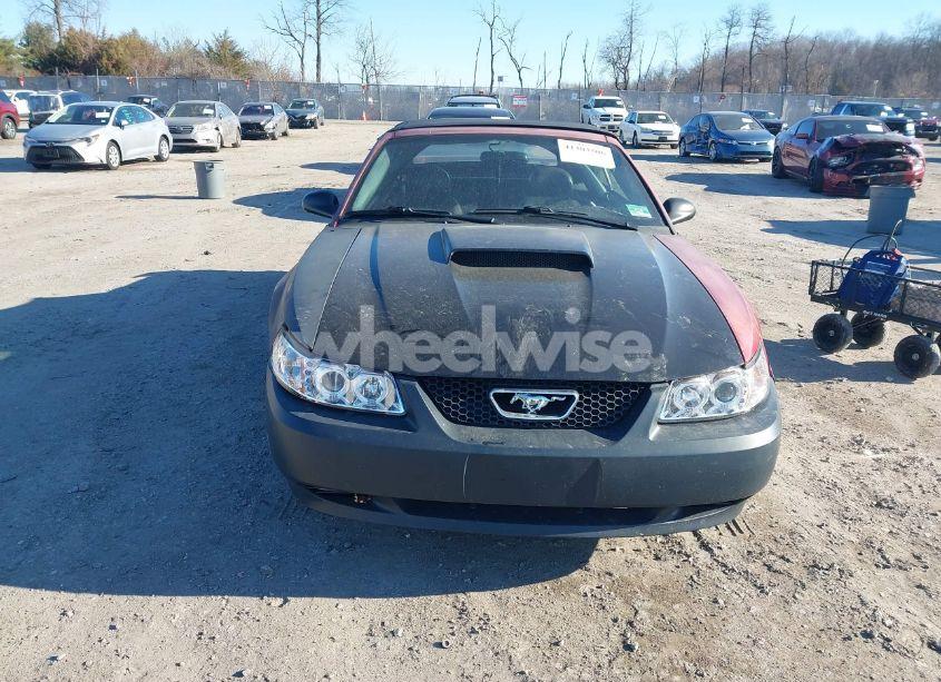 Photo 12 of 2002 Ford Mustang GT (VIN 1FAFP45X22F159563)